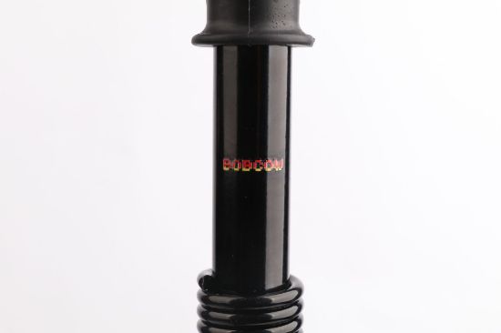 Picture of Bodybuilding equipment