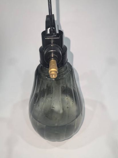 Picture of Drinkers for watering flowers and plants