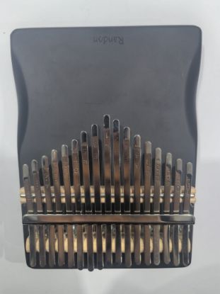 Picture of Musical Instrument