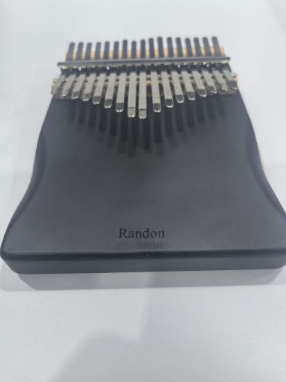 Picture of Musical Instrument