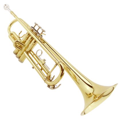 Picture of Magvit B flat trumpet instrument beginner entry-level trumpet instrument MTR-100 Monel live