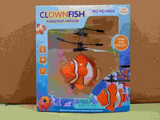 Picture of A Factory Direct Sale - New Joyful Fish Induction Flyer 'Like a Fish in Water' Flyer